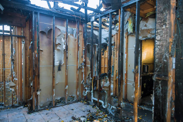 Professional Soot Cleanup technician working in Glen Echo, MD